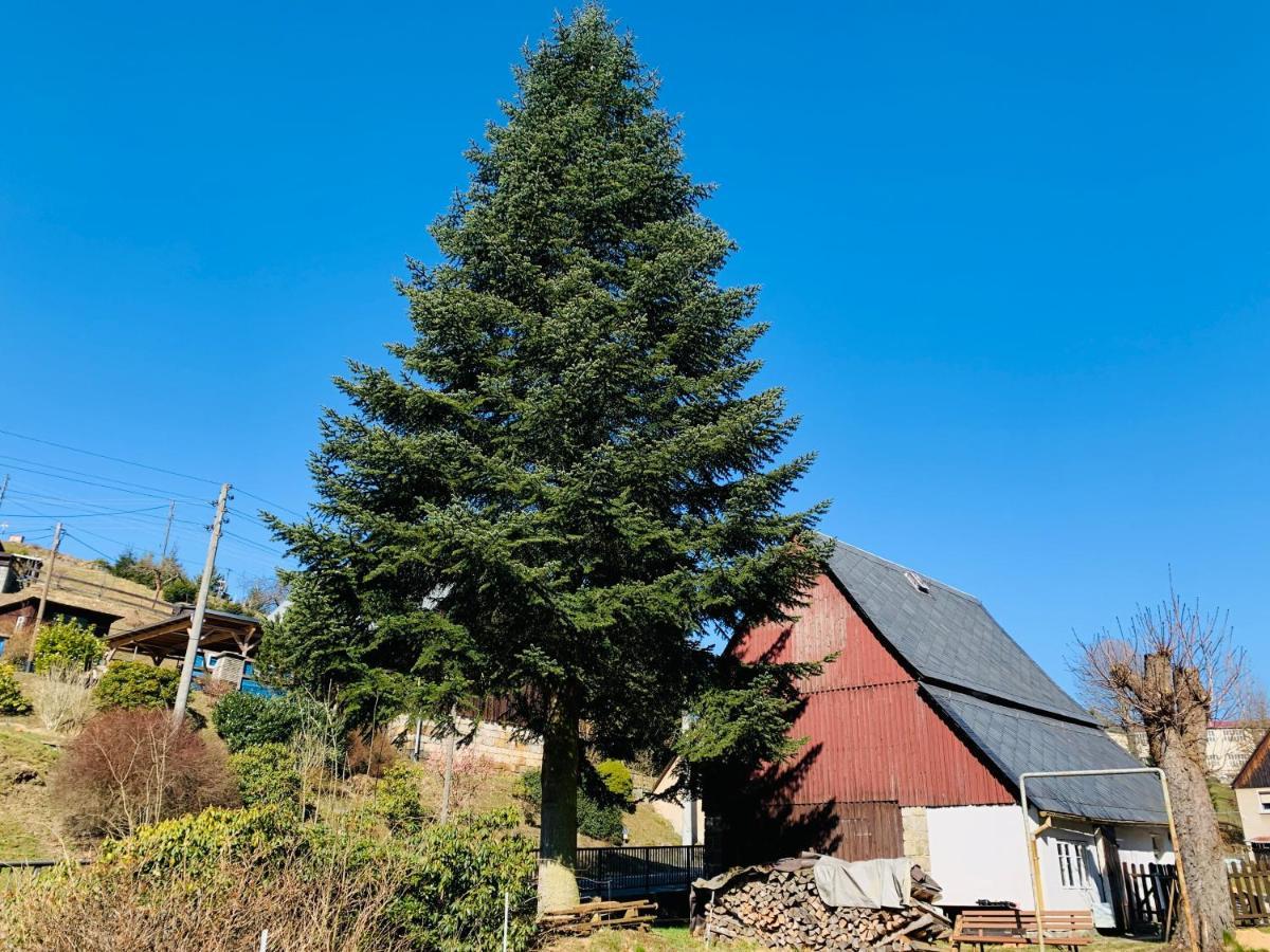 Saupsdorf Naturhof Kluge מראה חיצוני תמונה
