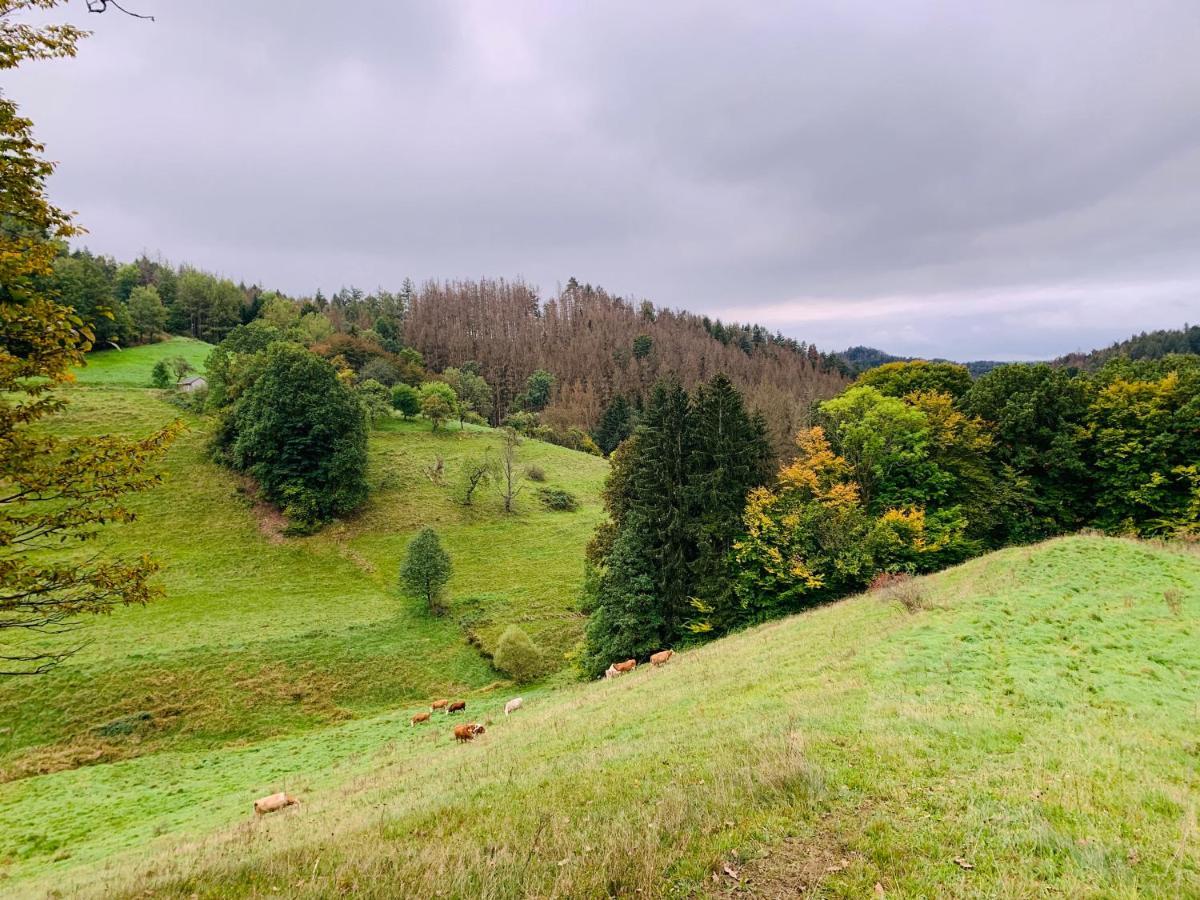 Saupsdorf Naturhof Kluge מראה חיצוני תמונה